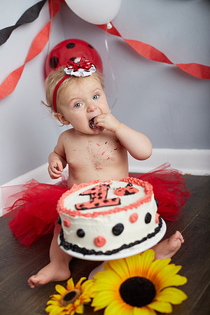 Emmalyn Cake Smash by Rachel Wilhelm Photography (34)