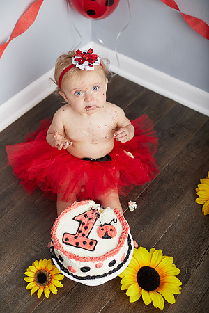 Emmalyn Cake Smash by Rachel Wilhelm Photography (44)